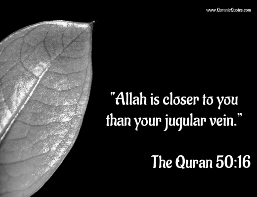 #13 The Quran 50:16 (Surah Qaf)