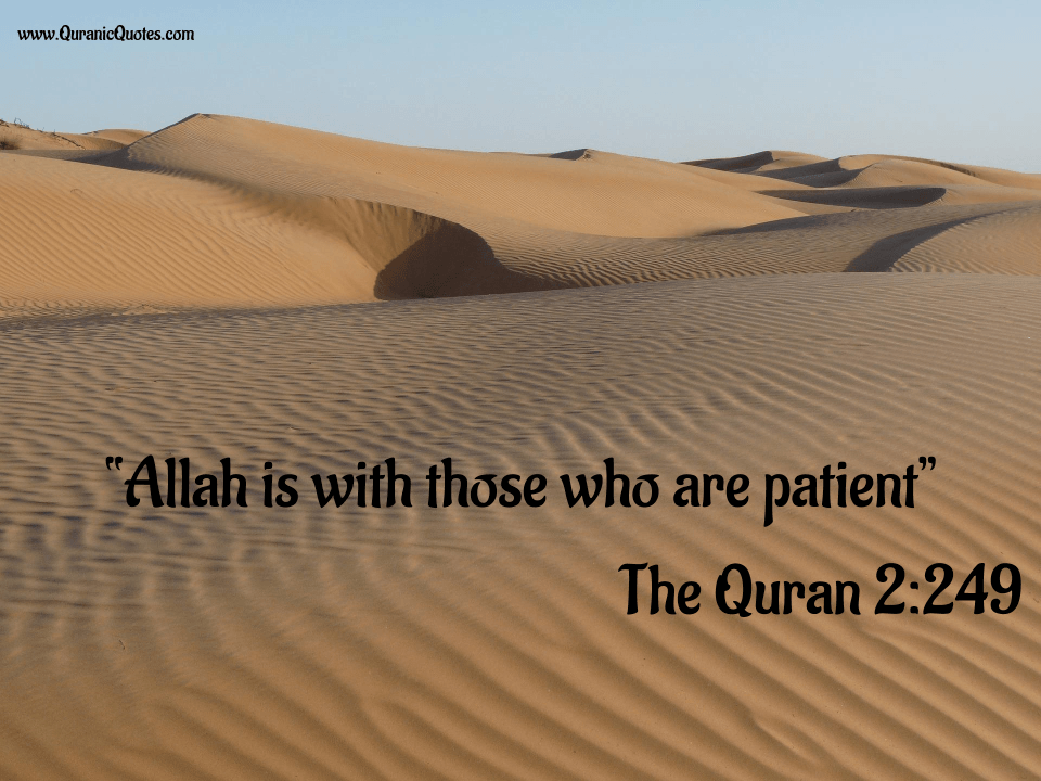 Quranic Quotes #16