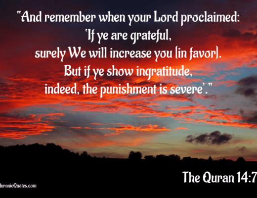 #28 The Quran 14:7 {Surah Ibrahim (Abraham)}