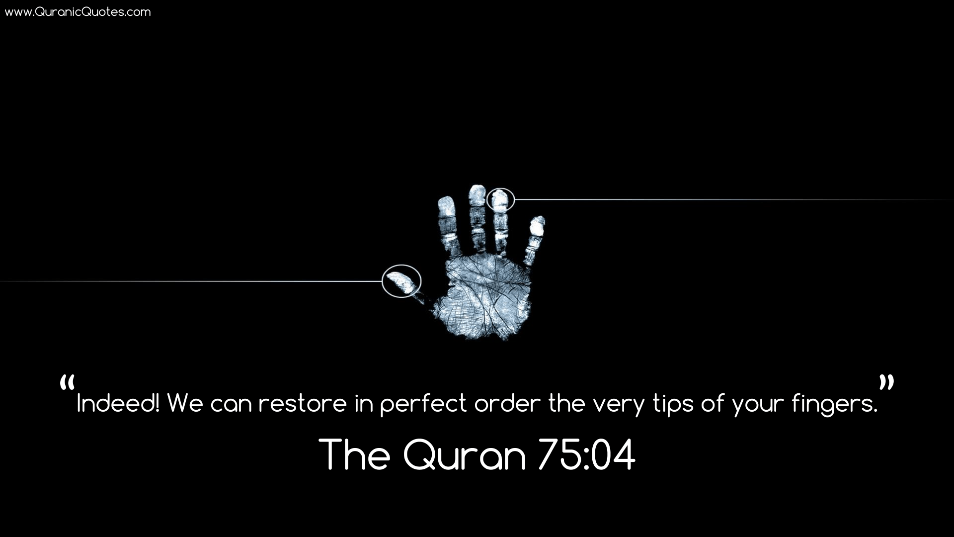 Quranic Quotes #65