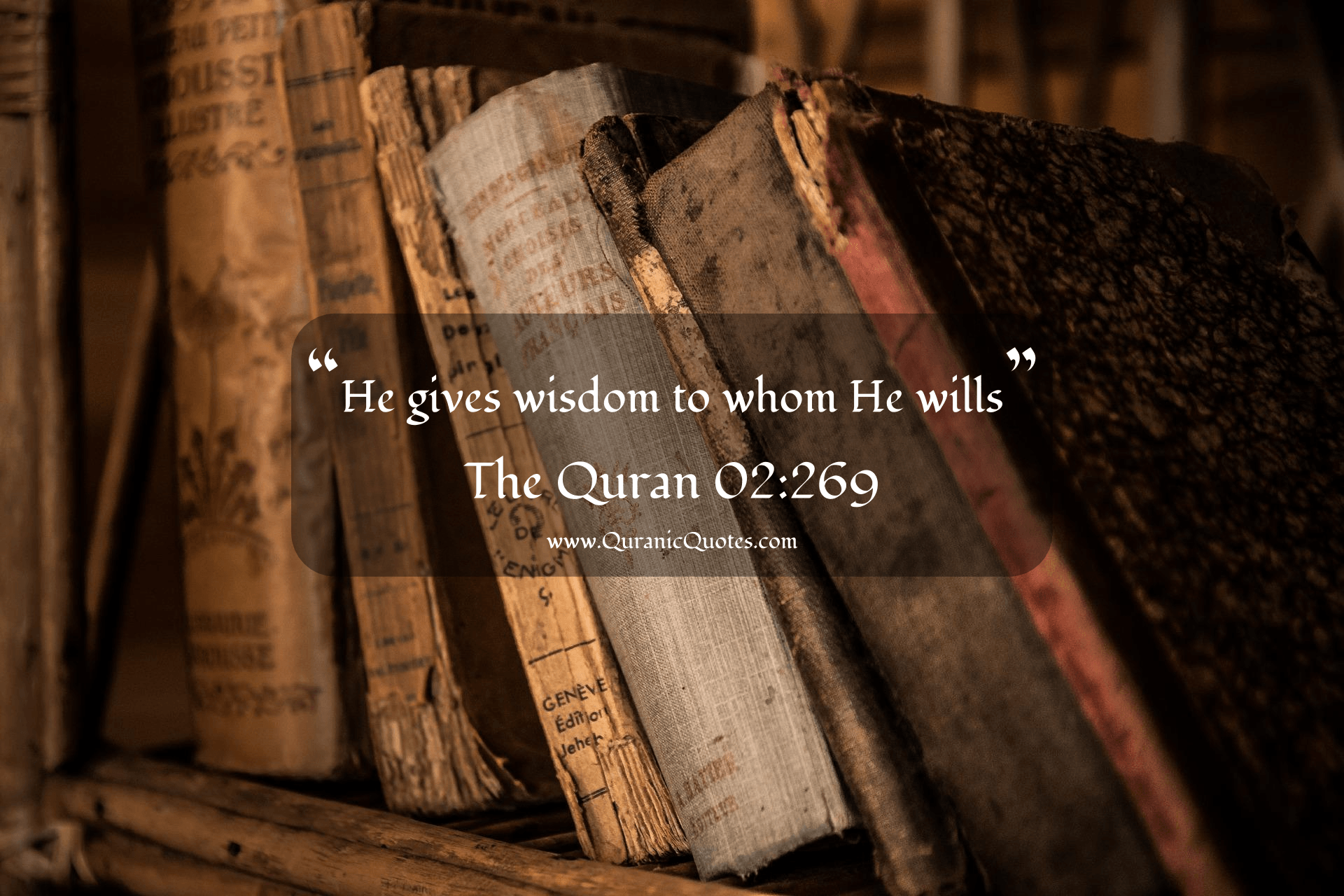 #84 The Quran 02:269 (Surah al-Baqarah) | Quranic Quotes