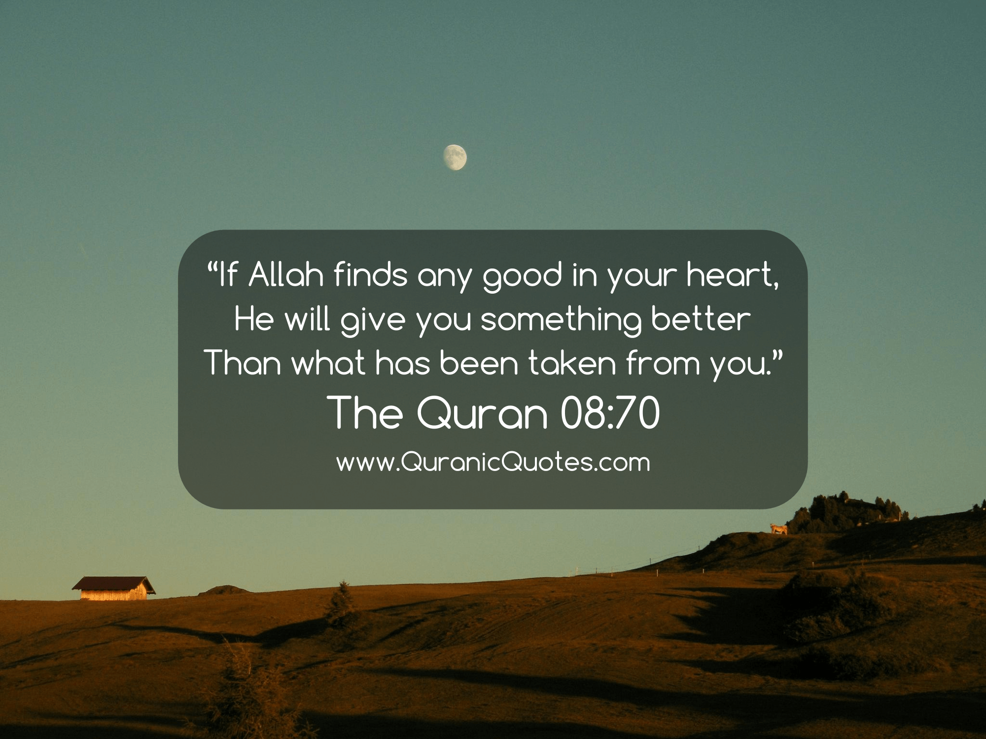 Quranic Quotes #113