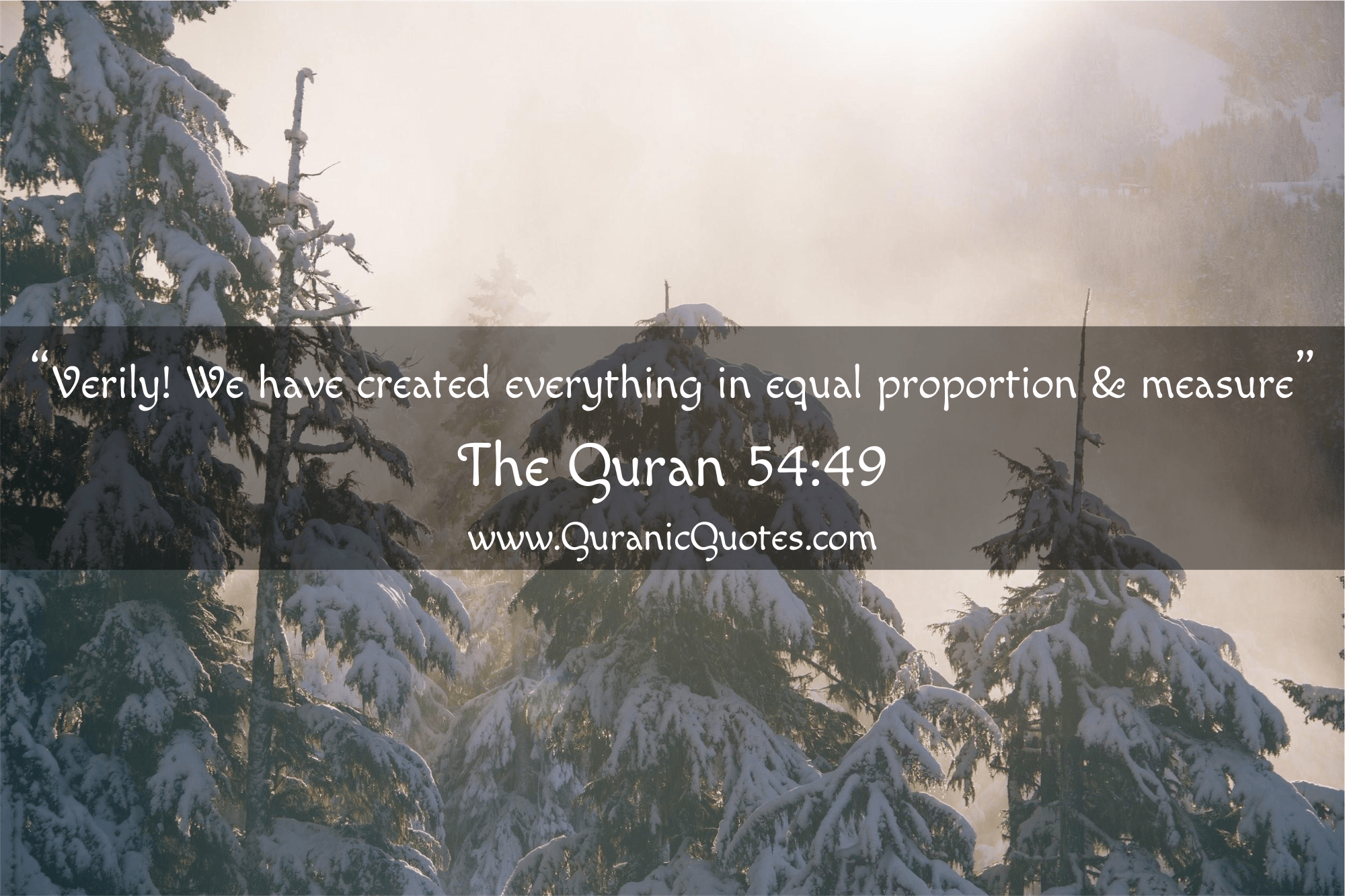 Quranic Quotes #118