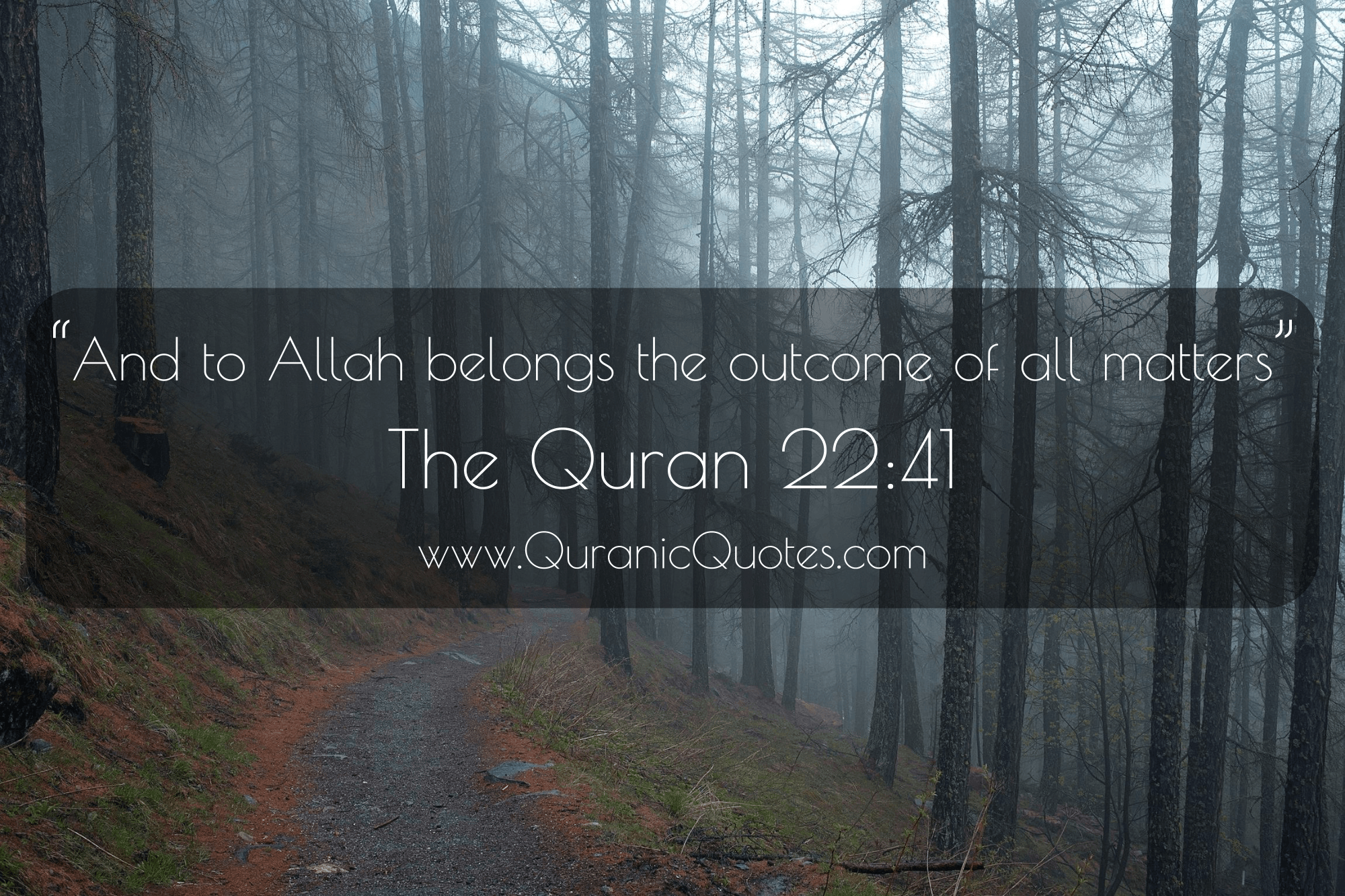 Quranic Quotes #121