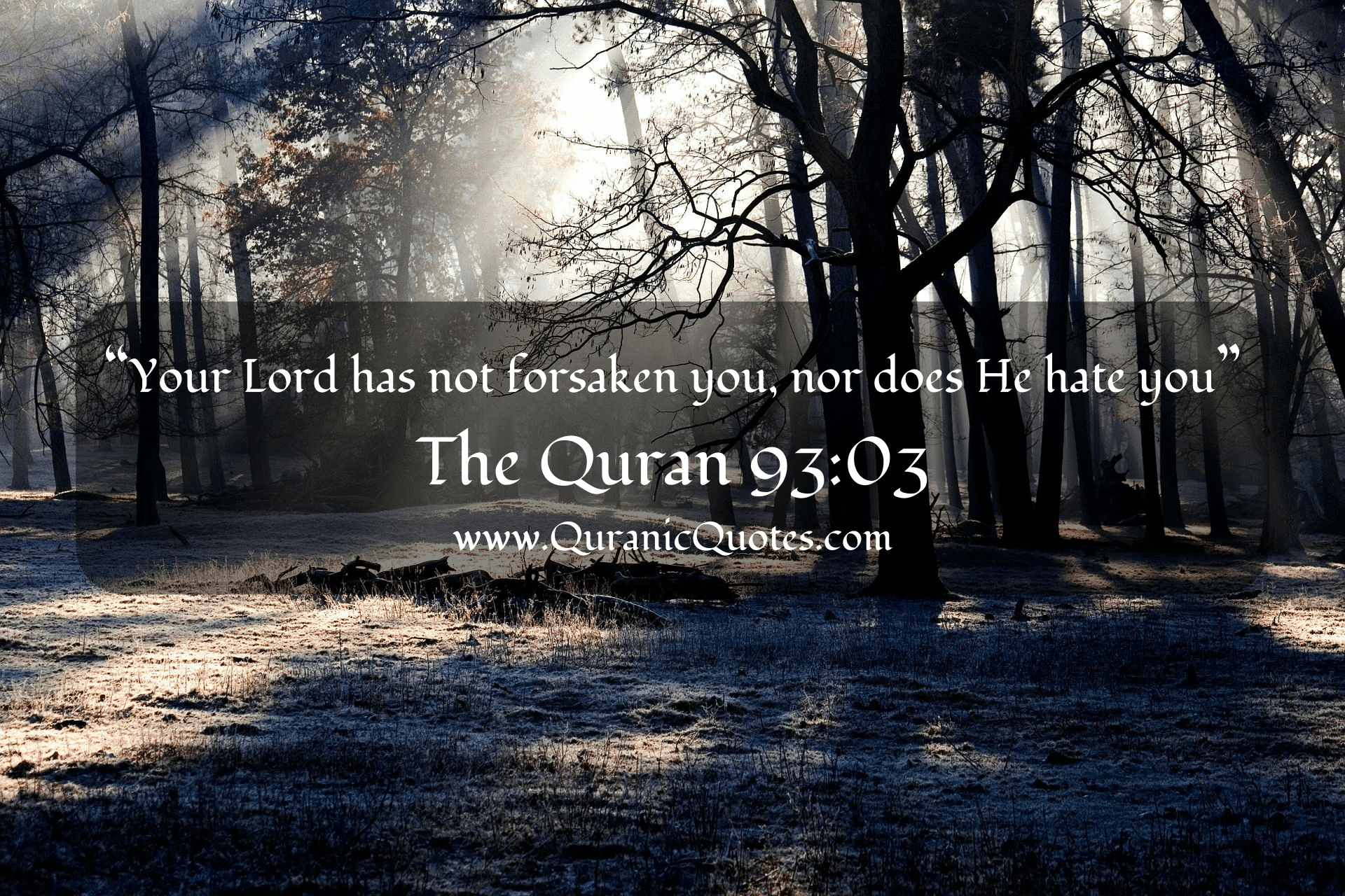 Quranic Quotes #123