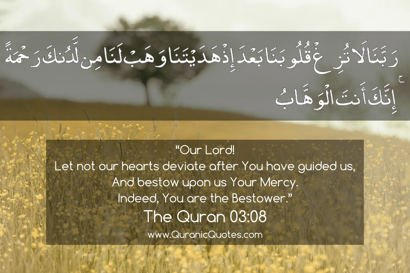 Quranic Quotes #149