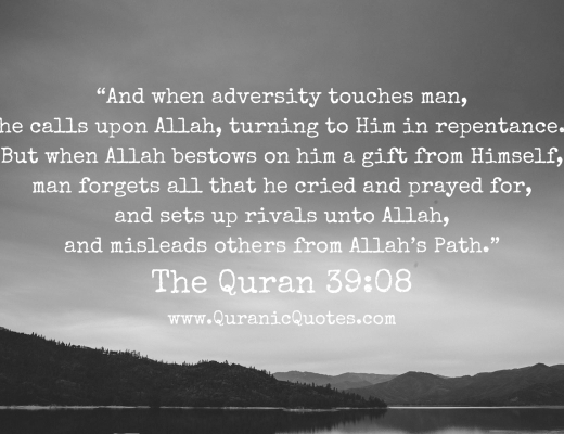 #151 The Quran 39:08 (Surah az-Zumar)