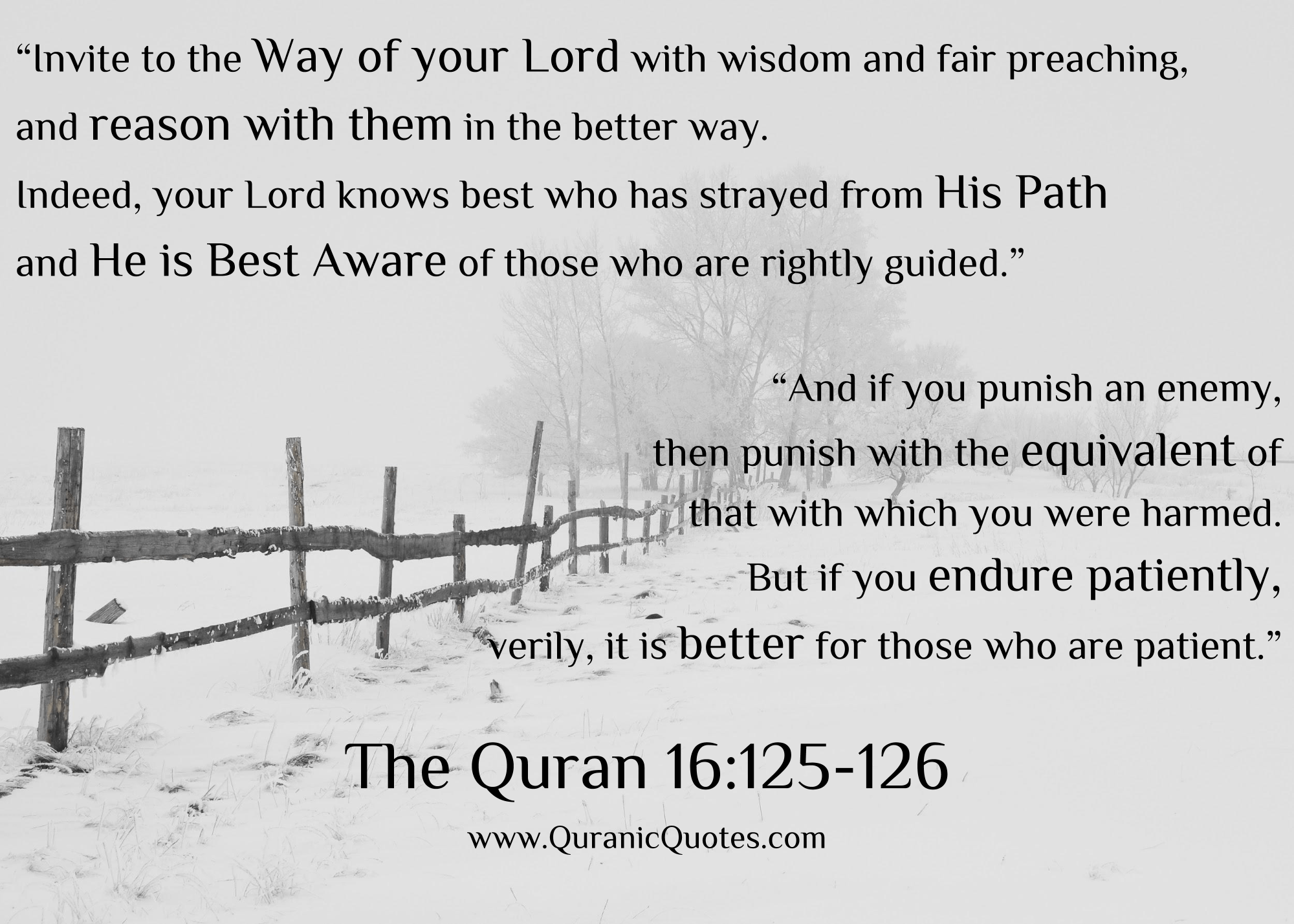 Quranic Quotes #187