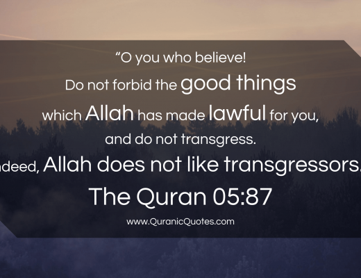 #188 The Quran 05:87 (Surah al-Ma’idah)