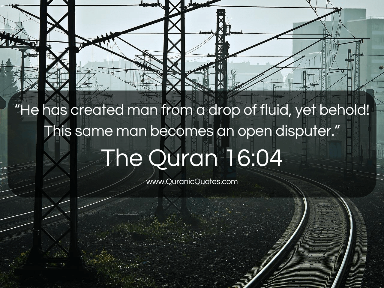Quranic Quotes #201