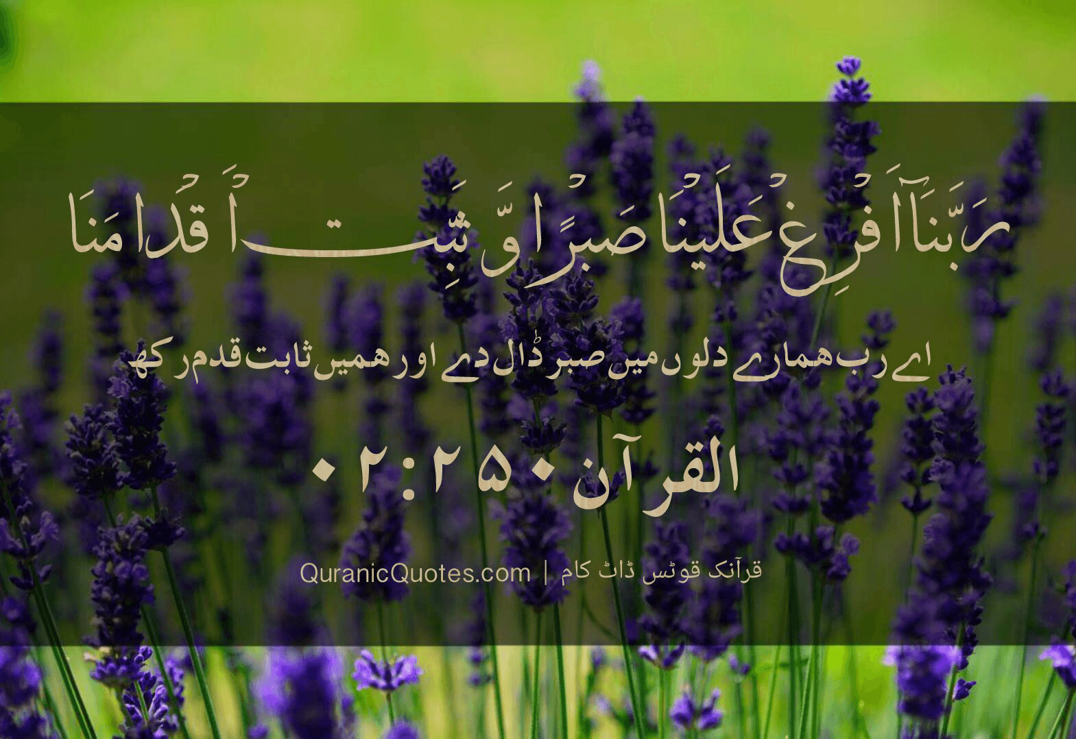 Quranic Quotes Urdu #12