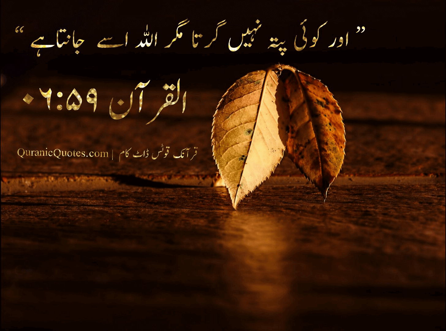 Quranic Quotes Urdu #17