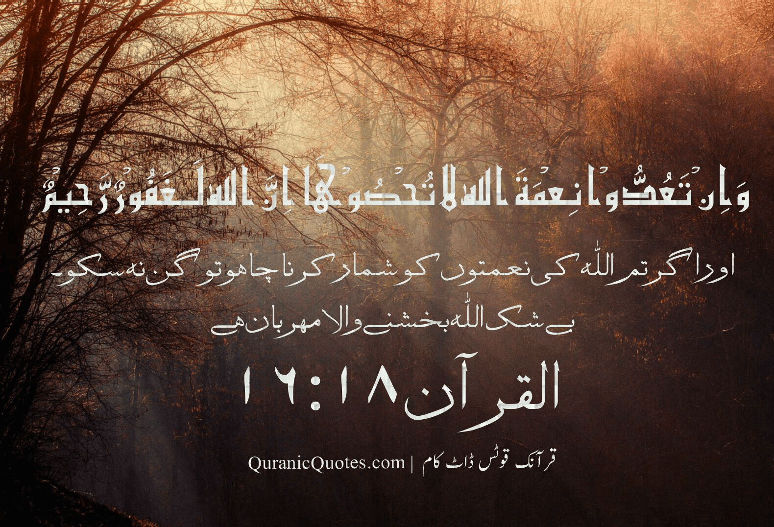 Quranic Quotes Urdu #18