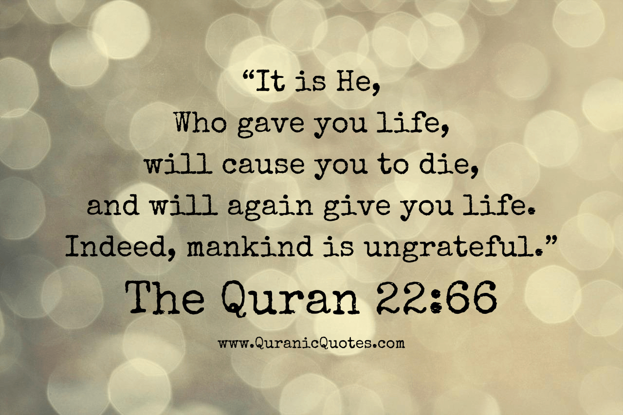 Quranic Quotes #209