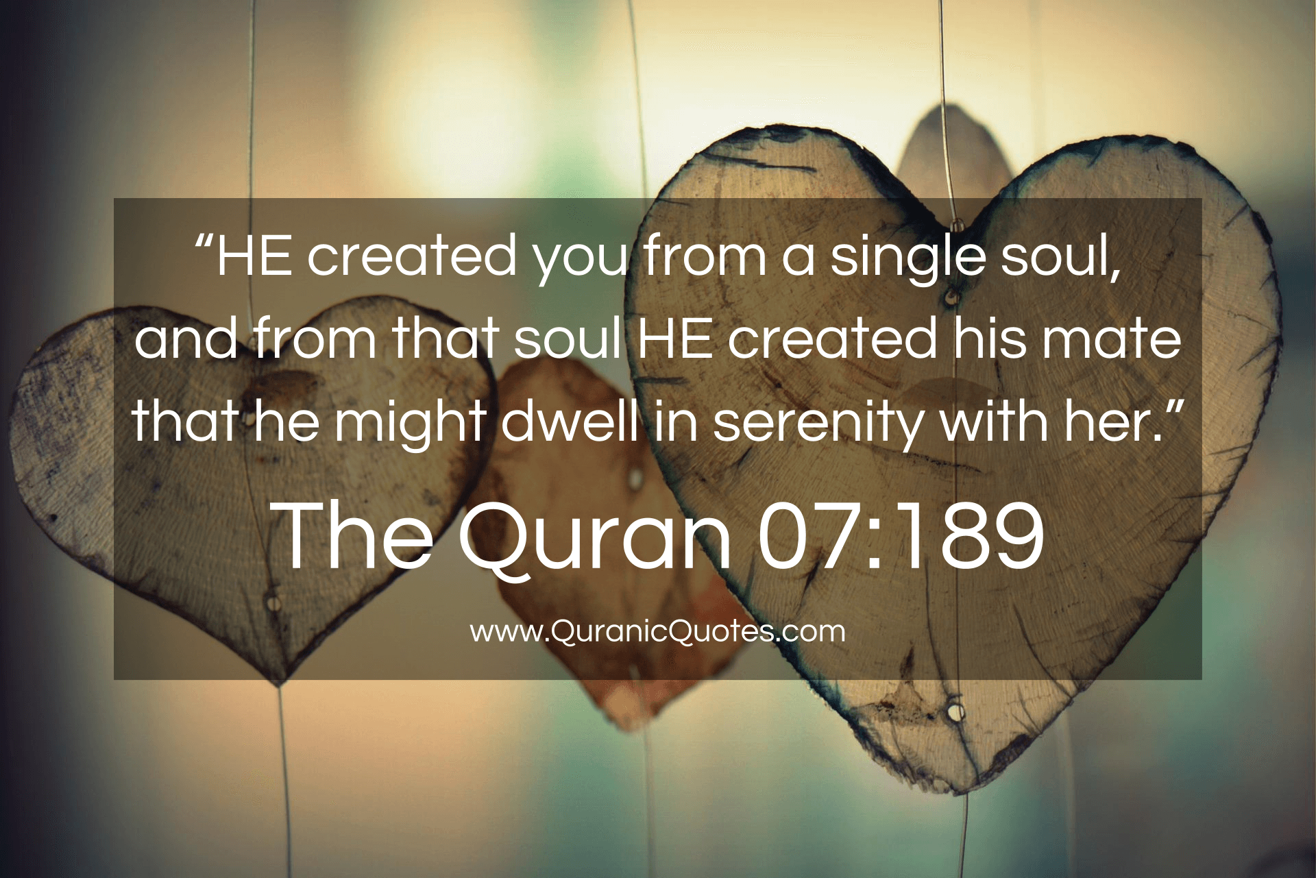 Quranic Quotes #213