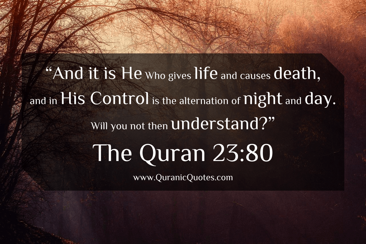 214 The Quran 2380 (Surah alMu'minun) Quranic Quotes