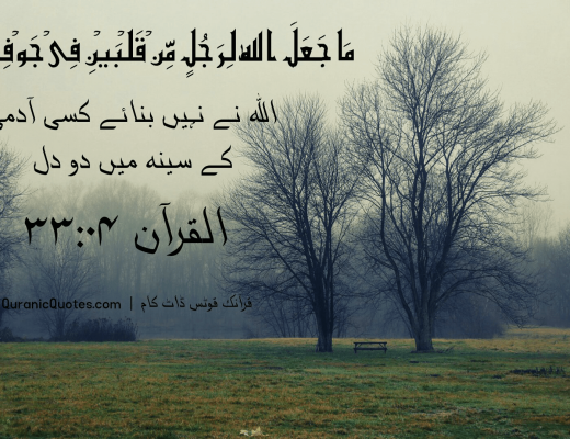 #25 The Quran 33:04 (Surah al-Ahzab)