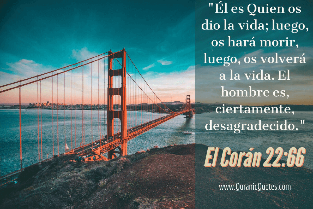 Quranic Quotes Español #13