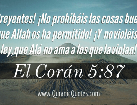 #19 El Corán 05:87 (Surah al-Maidah)