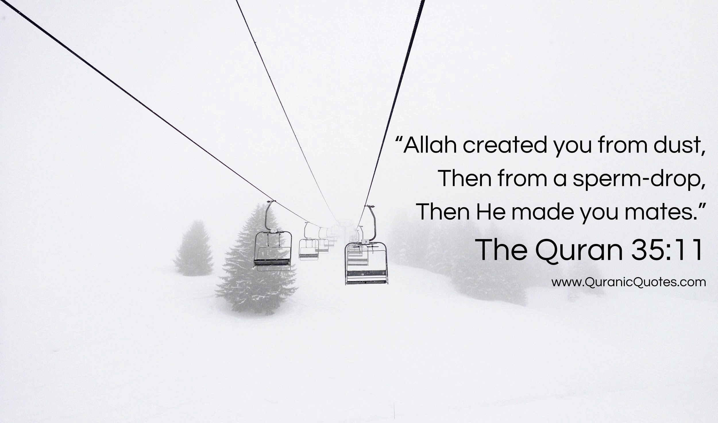 Quranic Quotes #222