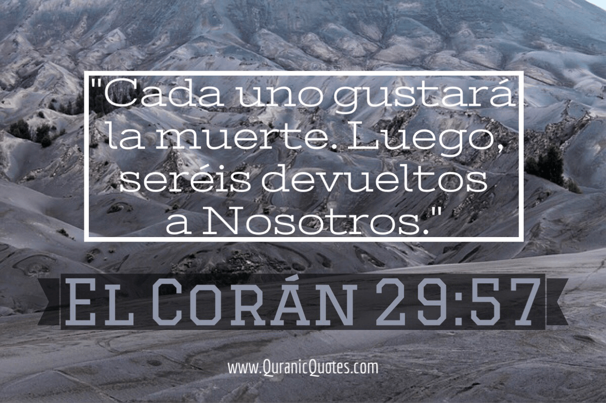 Quranic Quotes Español #17