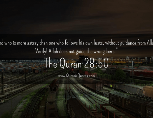#229 The Quran 28:50 (Surah al-Qasas)