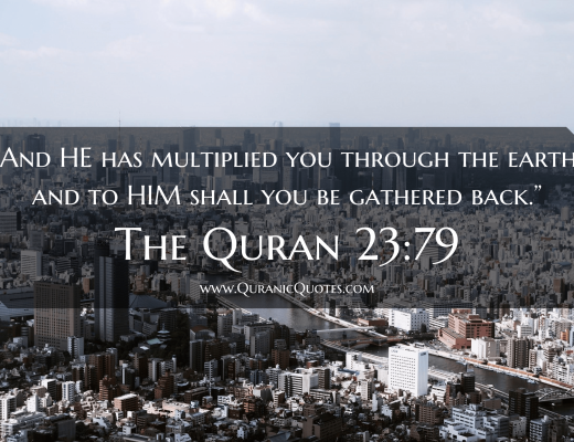 #234 The Quran 23:79 (Surah al-Mu’minun)