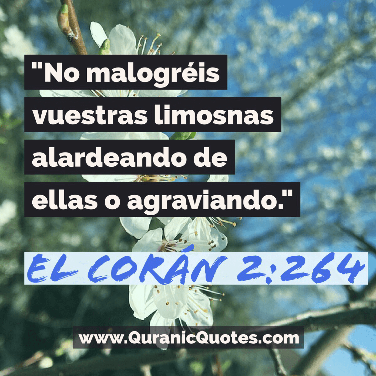 Quranic Quotes Español #27
