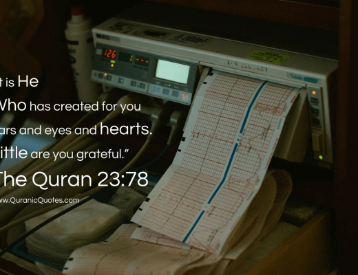 #239 The Quran 23:78 (Surah al-Mu’minun)
