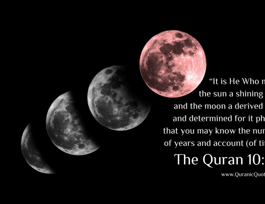 #241 The Quran 10:05 {Surah Yunus (Jonah)}