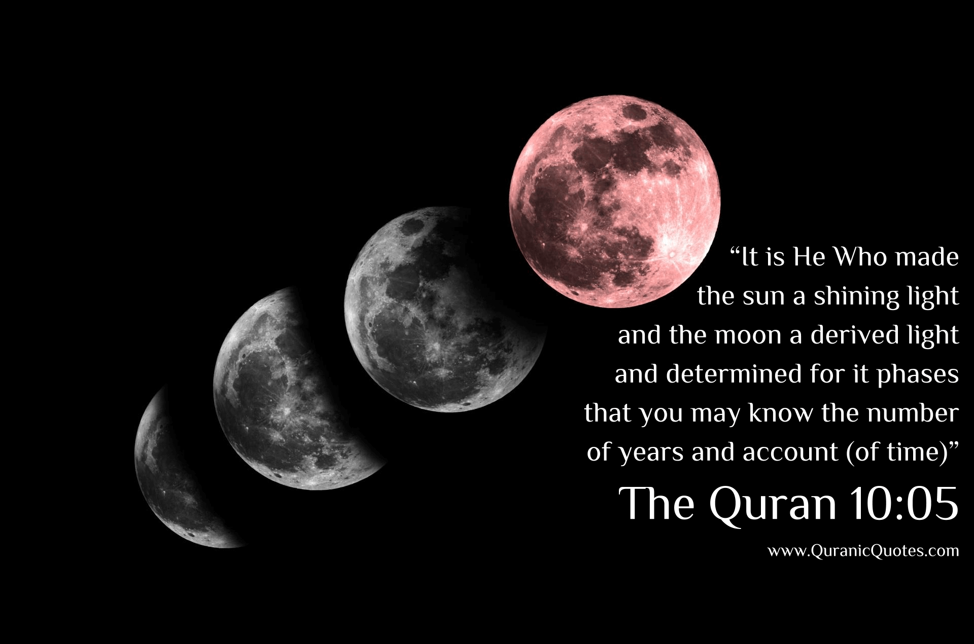 Quranic Quotes #241