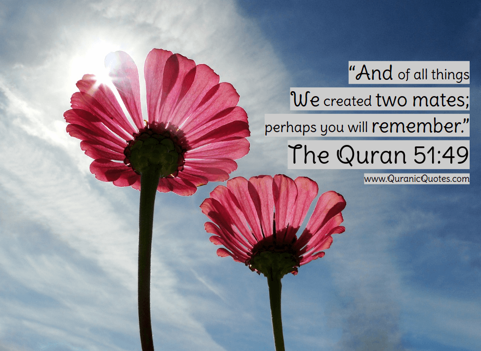 Quranic Quotes #248