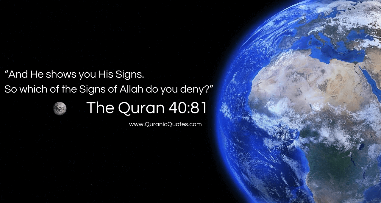 Quranic Quotes #249