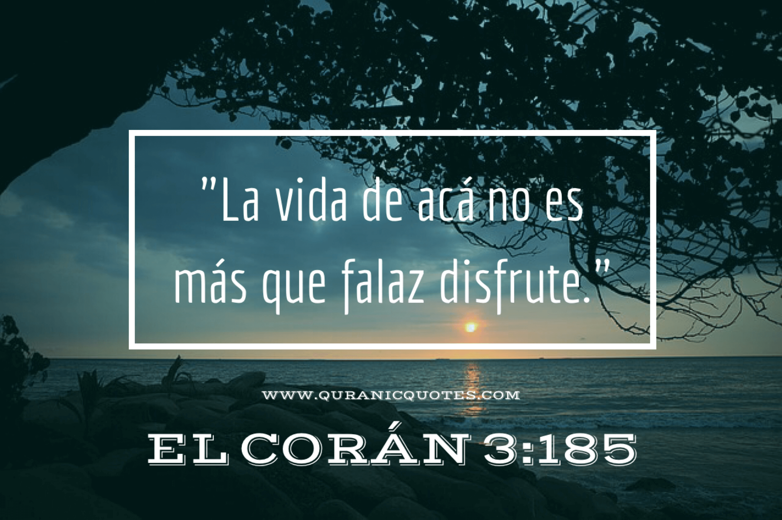 Quranic Quotes Español #49