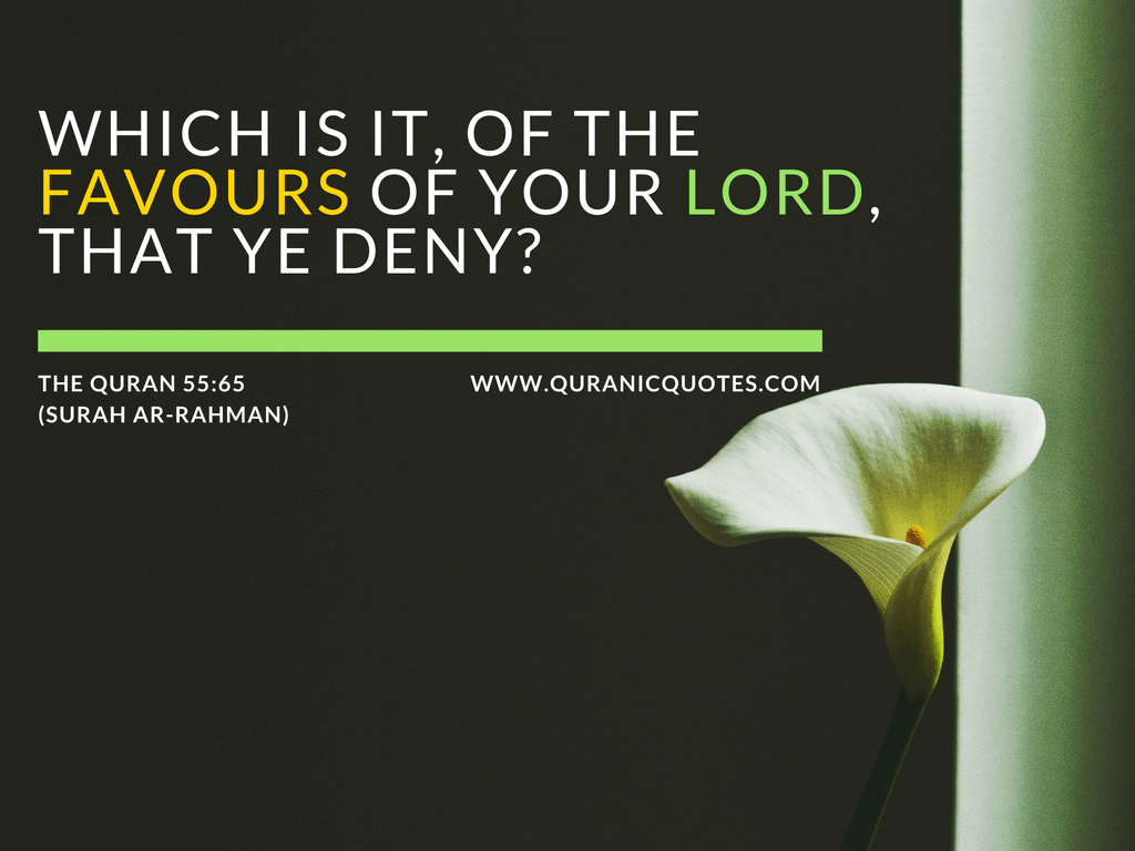 Which is it, of the Favours of your Lord, that ye deny?