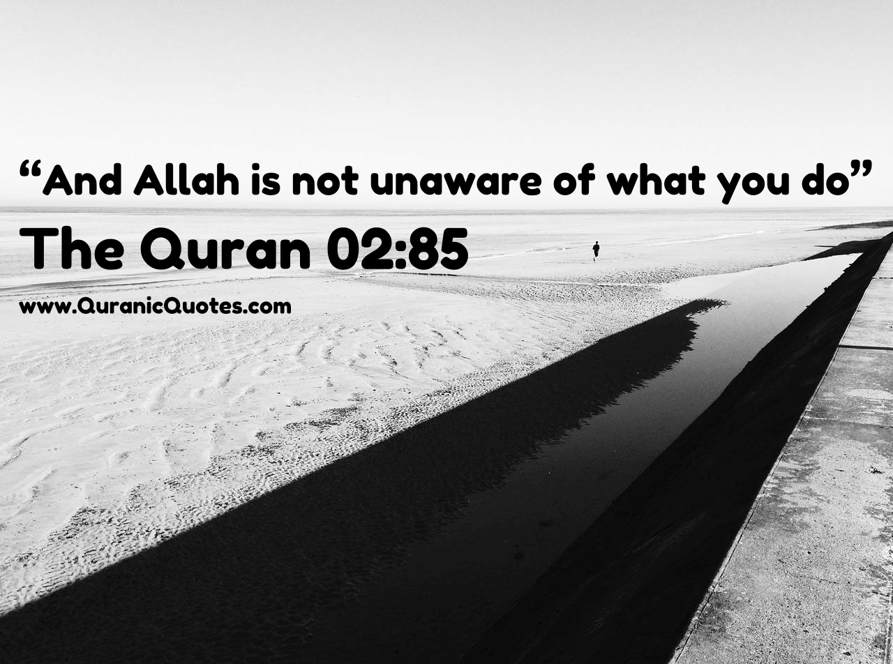 Quranic Quotes #253