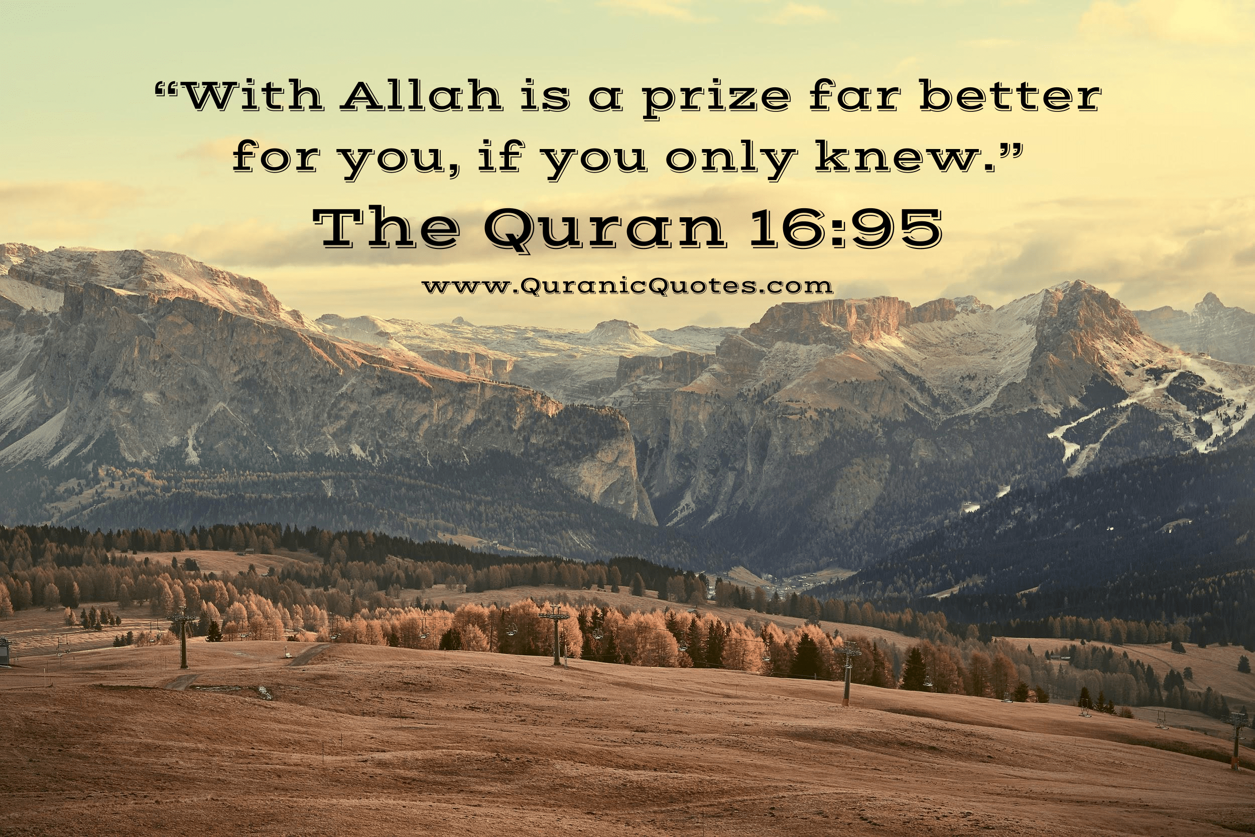 Quranic Quotes #256