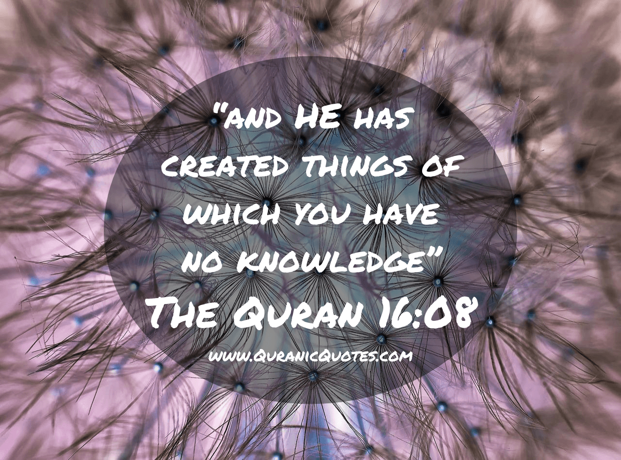 Quranic Quotes #260