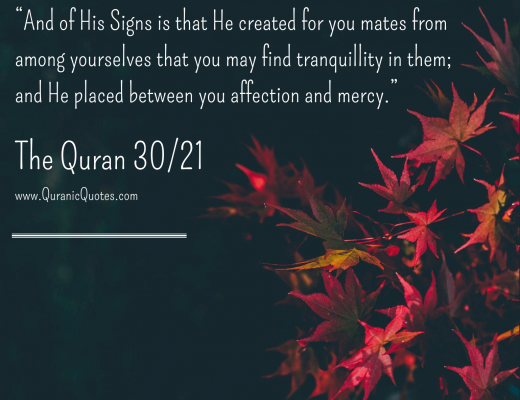 #269 The Quran 30:21 (Surah ar-Rum)