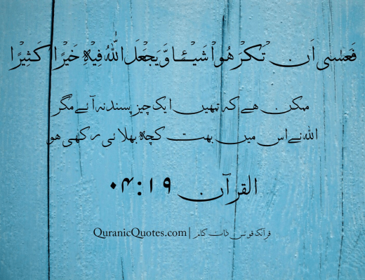 #74 The Quran 04:19 (Surah an-Nisa)