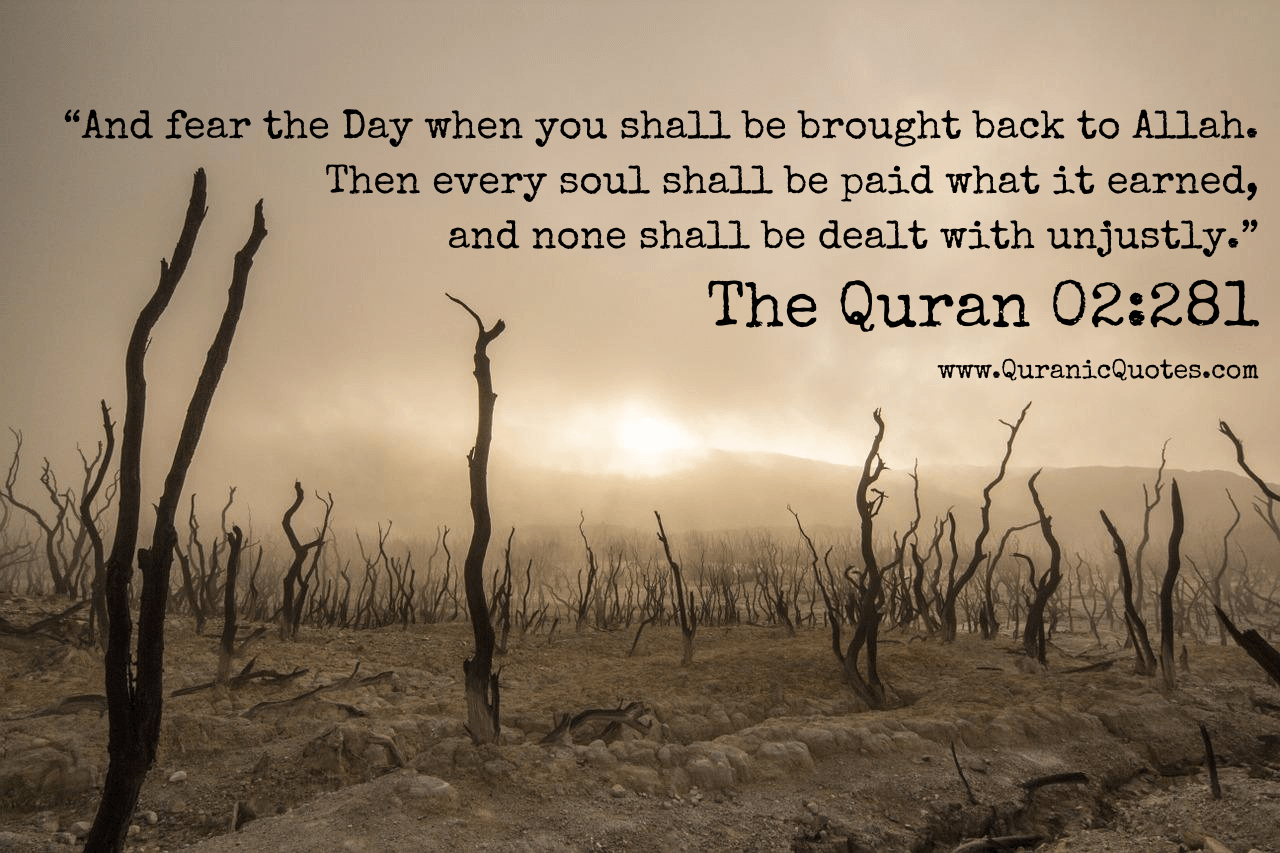 Quranic Quotes #276