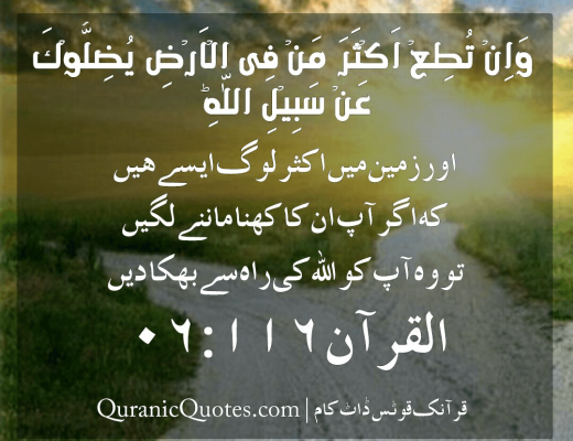 #79 The Quran 06:116 (Surah al-An’am)