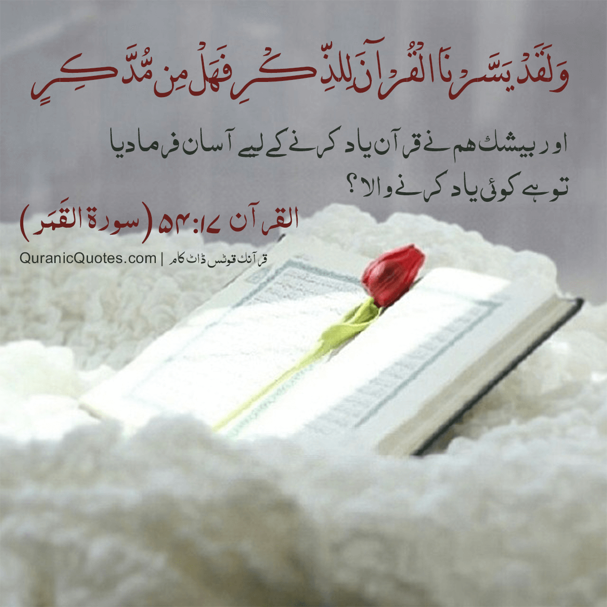 Quranic Quotes Urdu #80