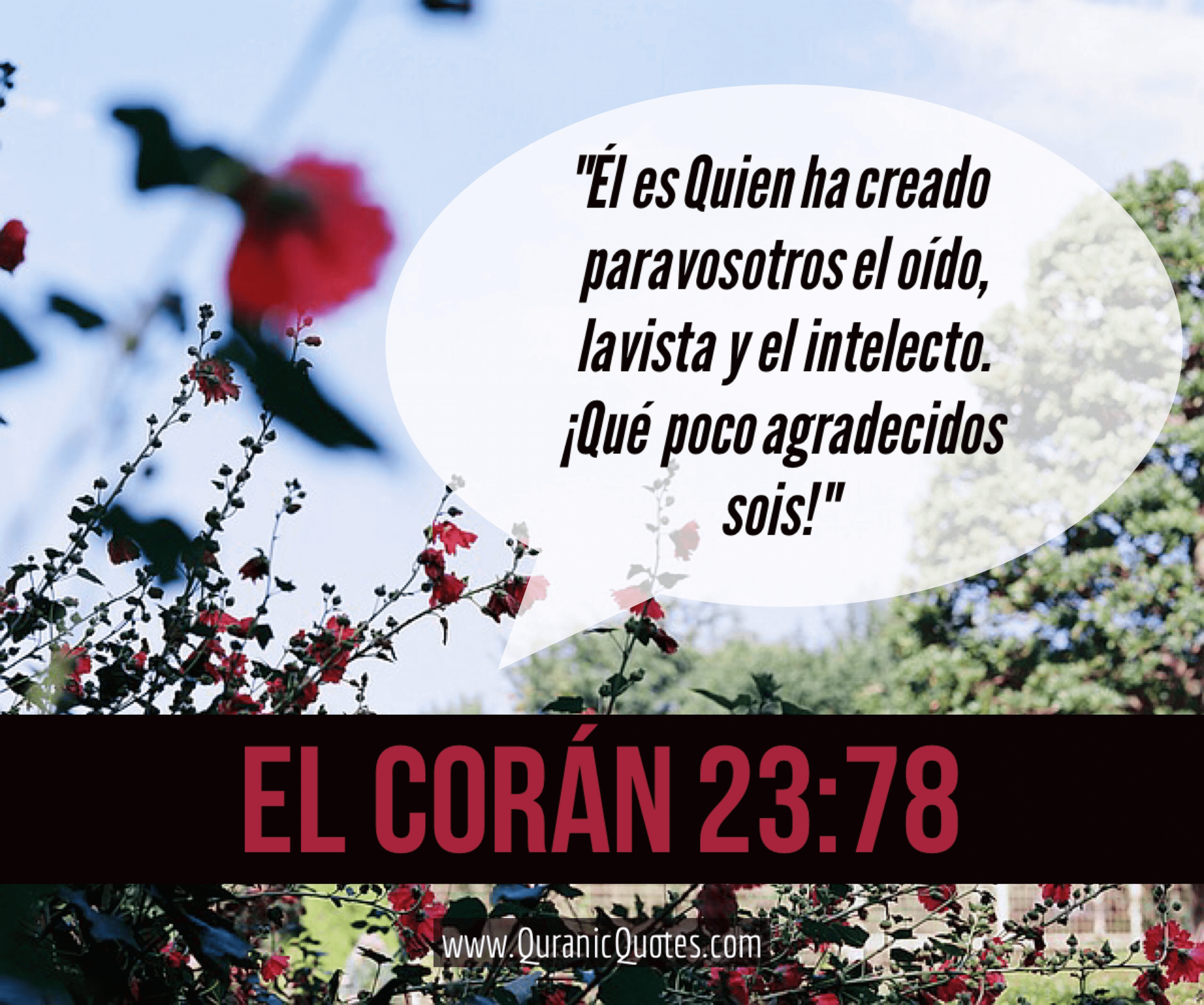 Quranic Quotes Español #90