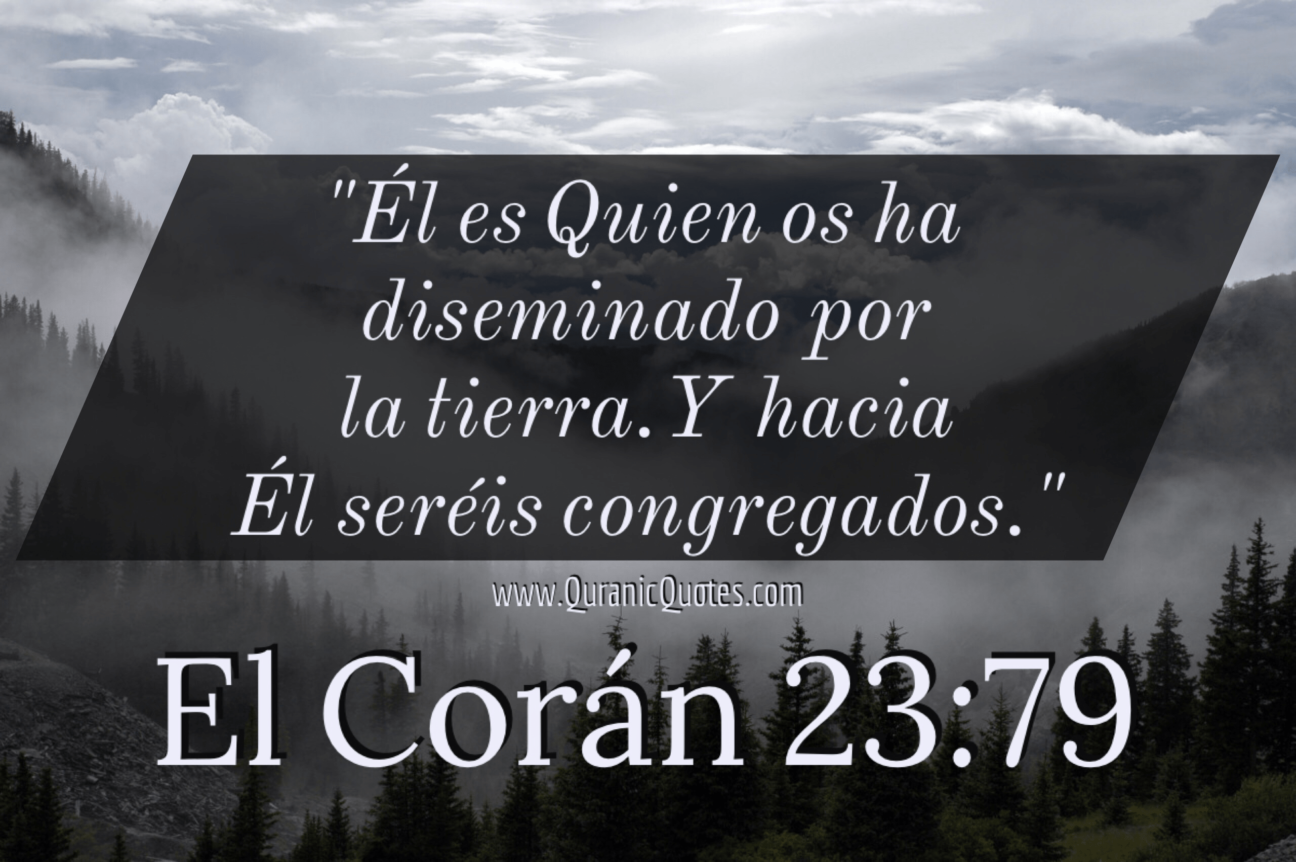 Quranic Quotes Español #98