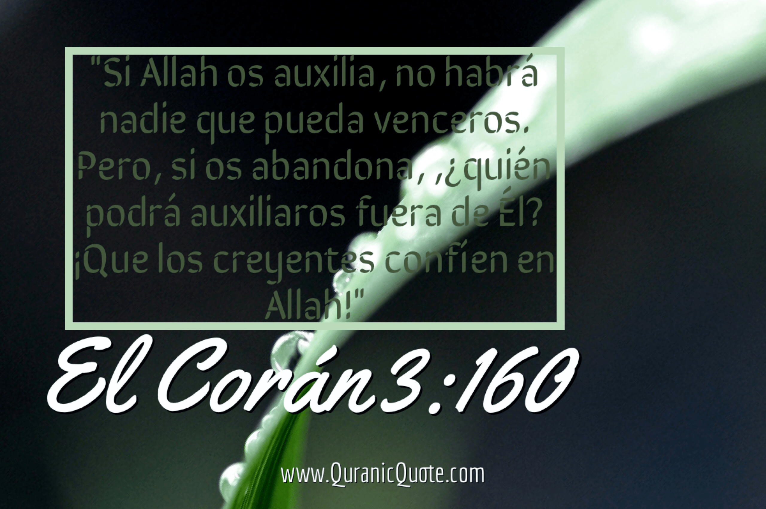 Quranic Quotes Español #106