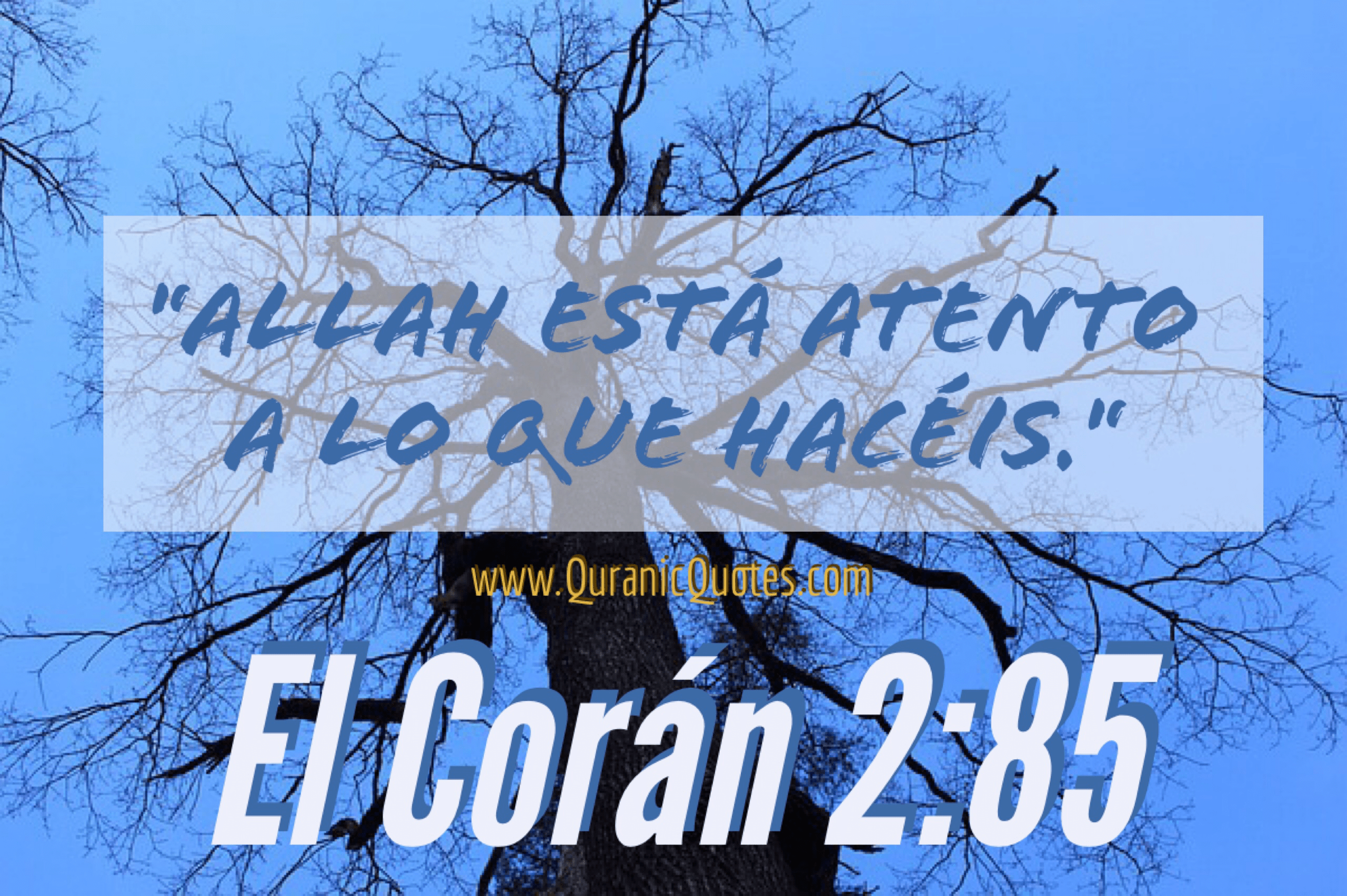 Quranic Quotes Español #115