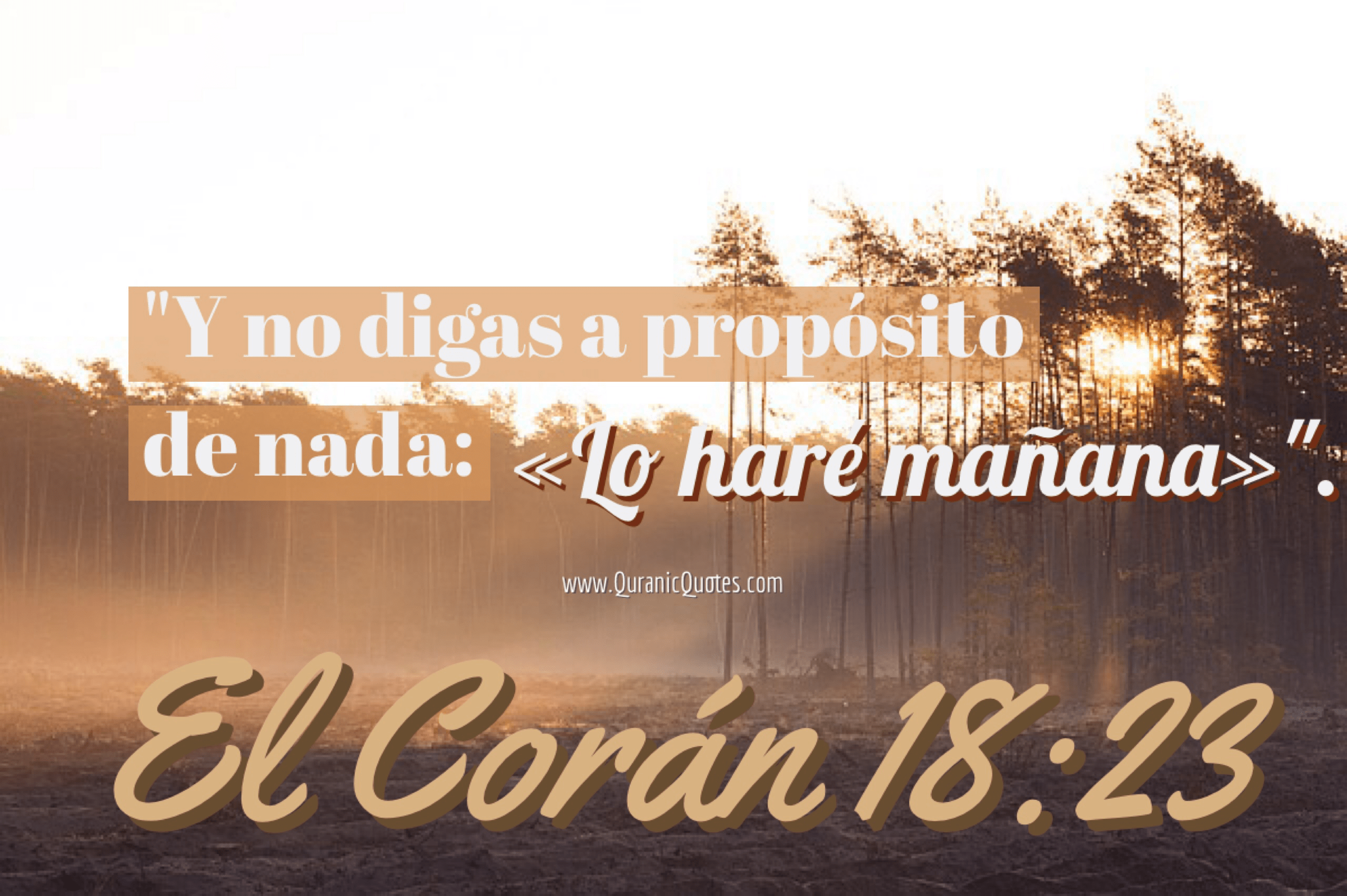 Quranic Quotes Español #118