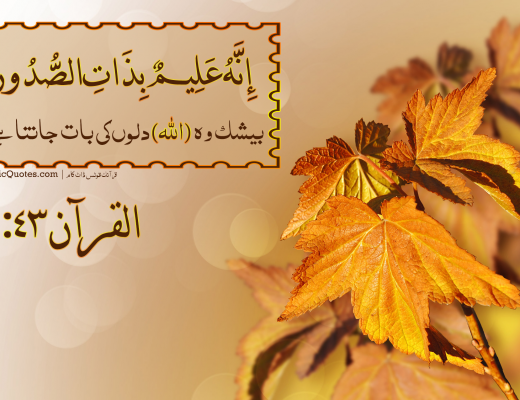 #121 The Quran 08:43 (Surah al-Anfal)