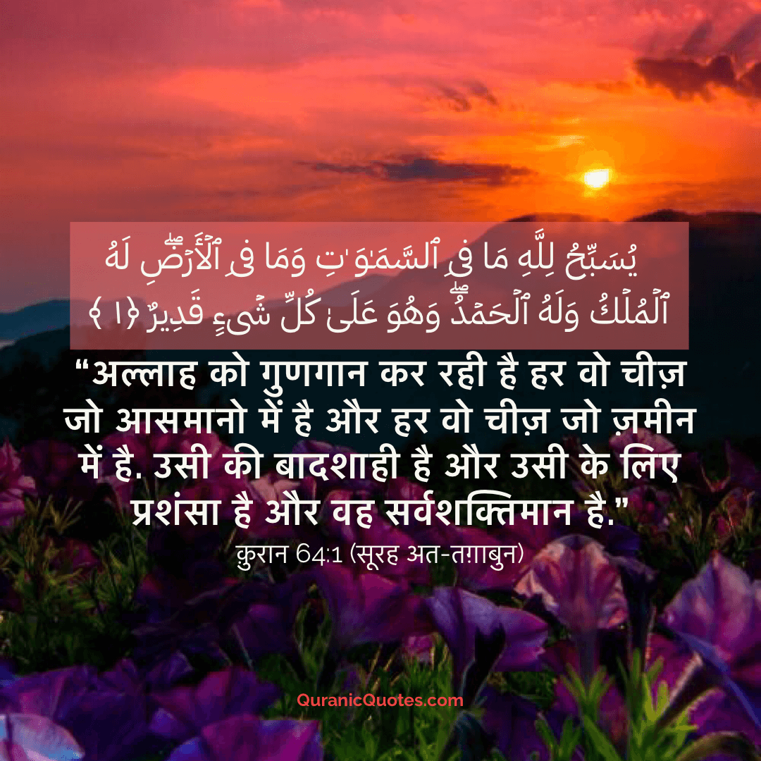 Quranic Quotes Hindi #13
